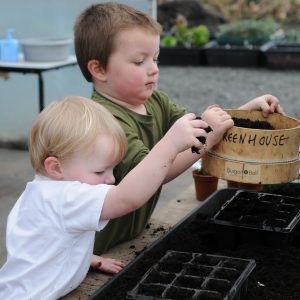 Make a donation to the Roots And Shoots Programme