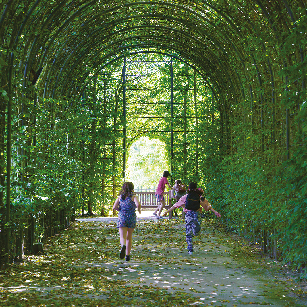 Garden Individual Plus Guest Membership Renewal