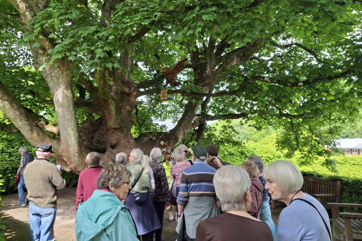 Walking Group